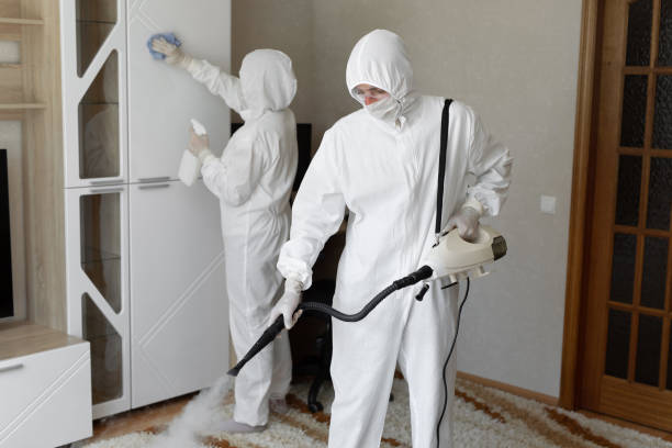 Professional Mold Remediation in Crooksville, OH